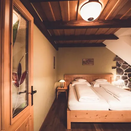 Guest house A Restaurace U Johana 3*