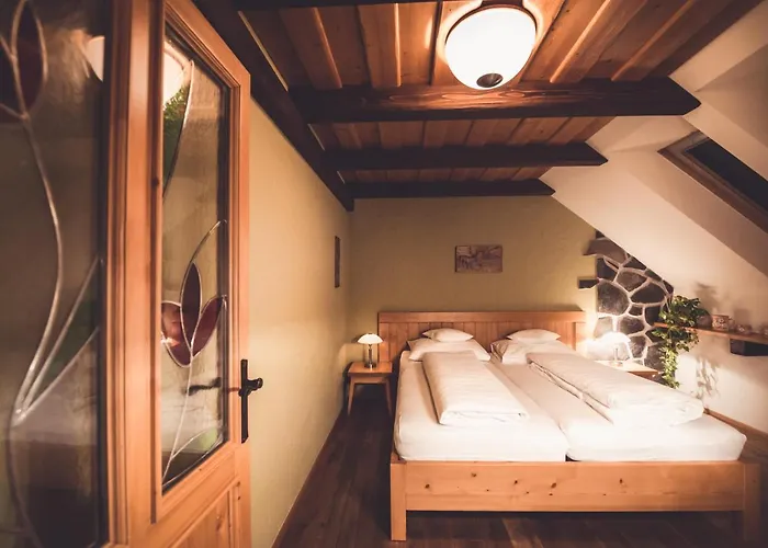 Pensjonat A Restaurace U Johana 3*